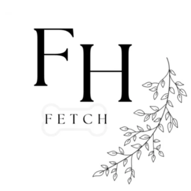 Why FETCH Sells the Mini Flipper Zero: Revolutionizing Smart Home Automation with Universal Control and Energy Efficiency - Fetch